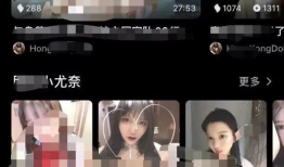 成人版视频,揭秘内容与影响